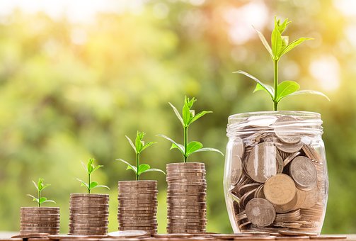 multiple stacks of coins each getting taller as you look to the right until you reach a jar of coins, each has a small plant growing out of it