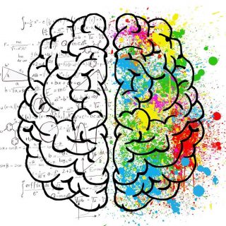 drawing of brain's two hemispheres; right hemisphere splattered with different colors of paint, left hemisphere covered in math equations