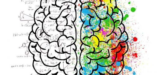 drawing of brain's two hemispheres; right hemisphere splattered with different colors of paint, left hemisphere covered in math equations